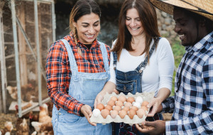 Happy farmers collecting organic eggs from henhouse