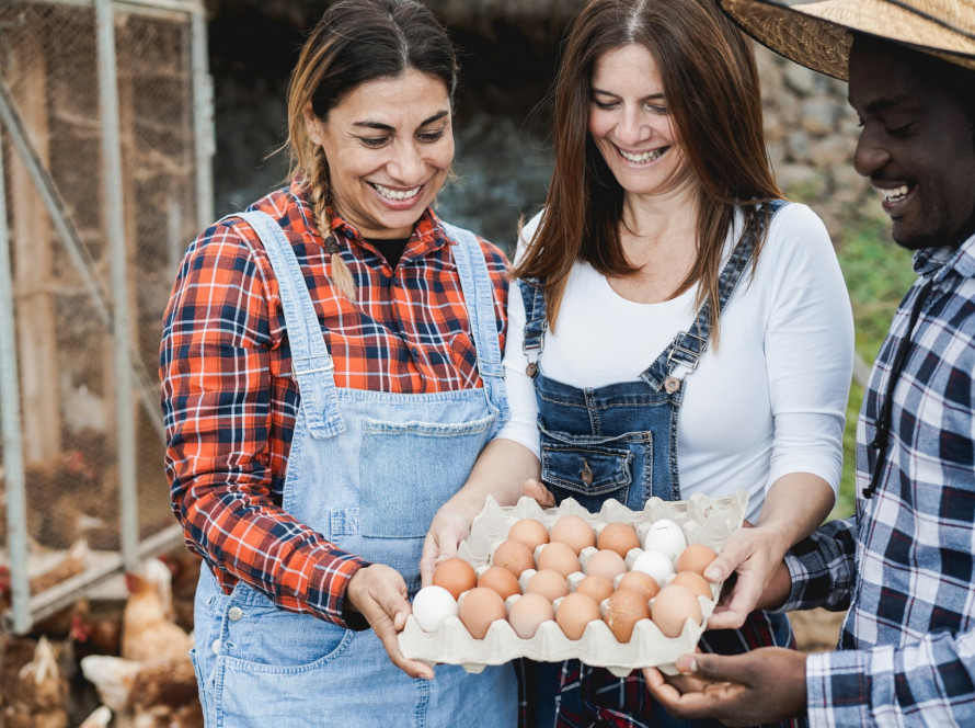 Happy farmers collecting organic eggs from henhouse